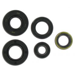 Simmerringsatz Tomos A35 (5-teilig)