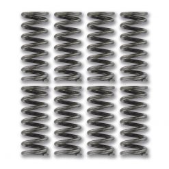 Kupplungsfeder Set Sachs 502, 503  A1325 (9 Stück)