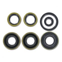 Simmerringsatz Motor Sachs 503 3-Gang