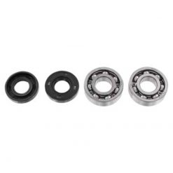 Lager und Simmerringe für Kurbelwelle Tomos