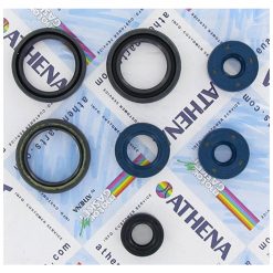 Simmerringsatz Motor Rotax 122 1995 ->