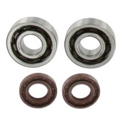 Lager und Simmeringe Motor Derbi Senda EBS050/EBE050/D50B0