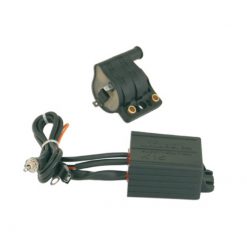 Zündbox mit Spule Malossi Derbi Senda/Minarelli AM6