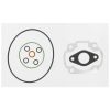 Dichtsatz Kit Polini zu 52000