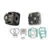 Zylinderkit Polini 47mm Guss Daelim/Kymco NETTOPREIS