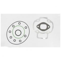 Dichtsatz Polini für 59040