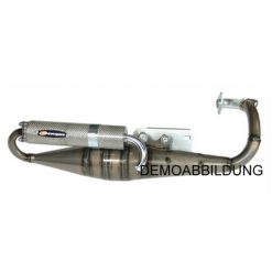 Auspuff Tecnigas RS Peugeot vertical NETTOPREIS