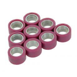 Variomatgewichte Polini 19 x 10.2/2.1 Gr. (9 Stk.)