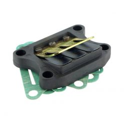 Membrane komplett Polini Honda/Peugeot 50 2-t