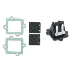 Membrane Polini BIG VALVE Polini Italjet, CR1