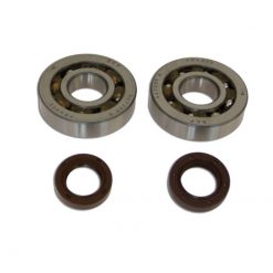 Lager/Simmerringe Kurbelwelle Piaggio/Gilera Top Performances