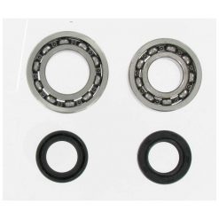 Lager und Simmeringe Honda SFX, Bali, SX