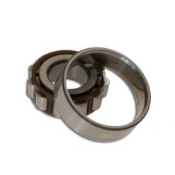 Lager SKF N204ECP 20x47x14