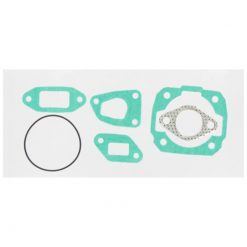 Dichtsatz Malossi zu 91540