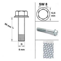 Schrauben Motorengehäuse M6x60mm SW 8mm (10 Stück)