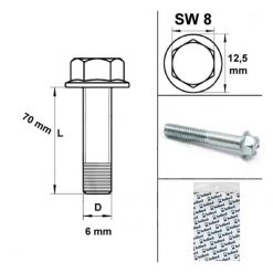 Schrauben Motorengehäuse M6x70mm SW 8mm (10 Stück)