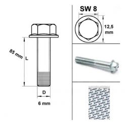 Schrauben Motorengehäuse M6x85mm SW 8mm (10 Stück)