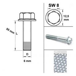 Schrauben Motorengehäuse M6x95mm SW 8mm (10 Stück)