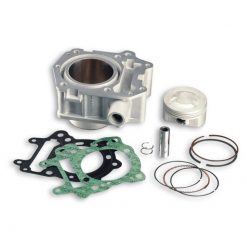 Zylinderkit Malossi 67mm Aprilia Leonardo/Scarabeo (Rotax)