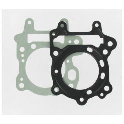 Dichtsatz Malossi zu 150000