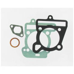 Dichtsatz Malossi zu 150100