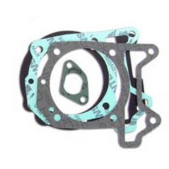 Dichtsatz Malossi zu 150410/151300