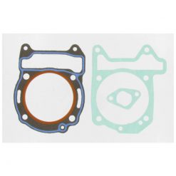 Dichtsatz Malossi zu 150450