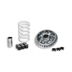 Variomat Malossi Multivar 2000 Aprilia Atlantic, Scarabeo 500 / Piaggio X9 500