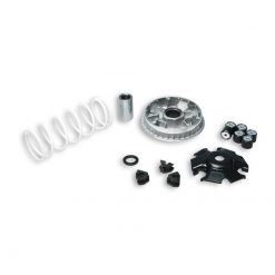 Variomat Malossi Multivar 2000 Kymco People, New Like 125 / Kawasaki J 125 SE