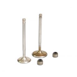 Ventile Malossi MHR 4StrokeValve Aprilia/Yamaha 250CC NETTOPREIS