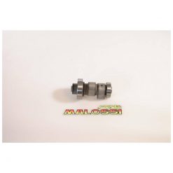 Power Cam Malossi MHR Majesty 125, Skyli