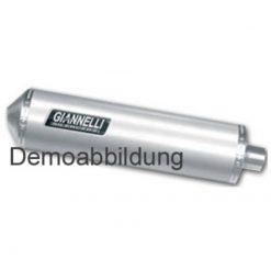 Enddämpfer Giannelli Titanium BMW C 600 Sport