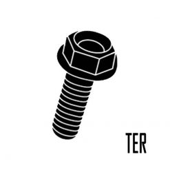 Schraube EVOTECH M6 x 15mm (7075-T6 TER) aus ALU in Schwarz- Eloxiert