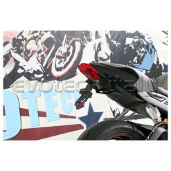 Kennzeichenhalter EVOTECH zu Triumph