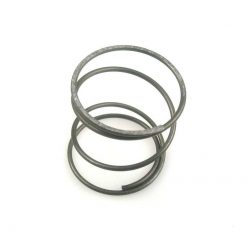 Druckfeder SACHS für Mitnehmerscheibe zu 503-AAL CH (A1352)