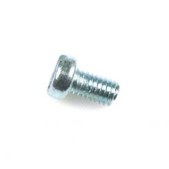 Schraube Schlitzkopf zylindrisch M6 x 10 mm (A4511)