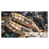 Auspuff GPR (2in1) Deeptone in inox zu Ducati (CH-Hom)