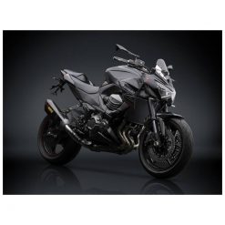Auspuff AKRAPOVIC SLIP-ON in CARBON mit CARBON-ENDCAP zu Kawasaki (CH Homo