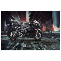 Auspuff EXAN X-GP in carbon zu Yamaha (CH-Hom)