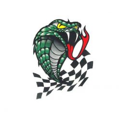 Sticker 4R Snake (10 x 12cm)