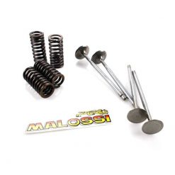 Ventile MALOSSI Ein- und Auslass inkl. Federn zu Piaggio Vespa GTS 300ccm