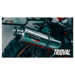 Auspuff GPR Trioval in inox zu BMW (CH-Hom)