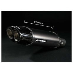 Auspuff BODIS OVAL Q1 in TITAN (TI) zu Kawasaki (CH- Homologiert)