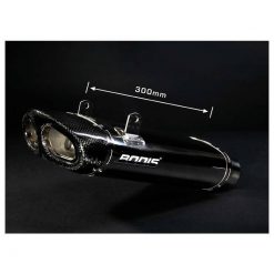 Auspuff BODIS OVAL Q5 in INOX (SS) zu Suzuki (CH- Homologiert)