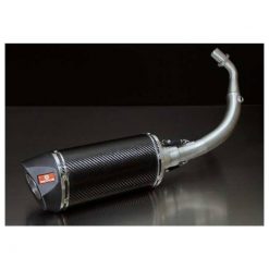 Auspuffanlage REMUS RSC in CARBON zu Piaggio (CH- Homologiert) benötigt Ka