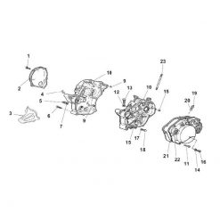 O-Ring MINARELLI ORIGINAL (Ø 12.37 x 2.62mm) für Motorblock zu AM6