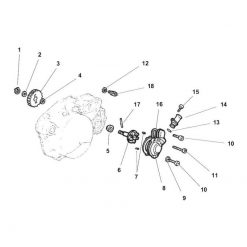 Kabelhalter MINARELLI ORIGINAL für Wasserpumpe zu AM6