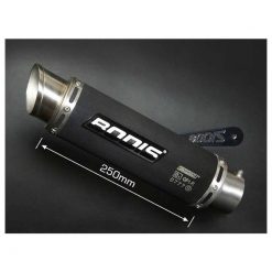 Auspuff BODIS GP1-R in INOX/SCHWARZ (SS/BL) zu BMW (CH- Homologiert)