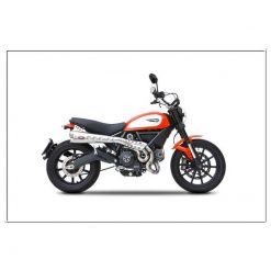 Auspuffanlage ZARD SPECIAL EDITION - HIGH POSITION (2 in 1) in Inox- satin