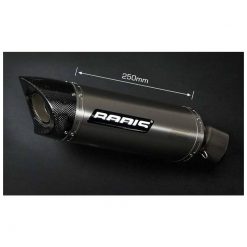 Auspuff BODIS OVAL Q1S in TITAN (TI) zu Triumph (CH- Homologiert) benötigt